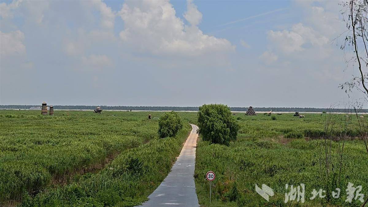 江豚 岳陽01.jpg