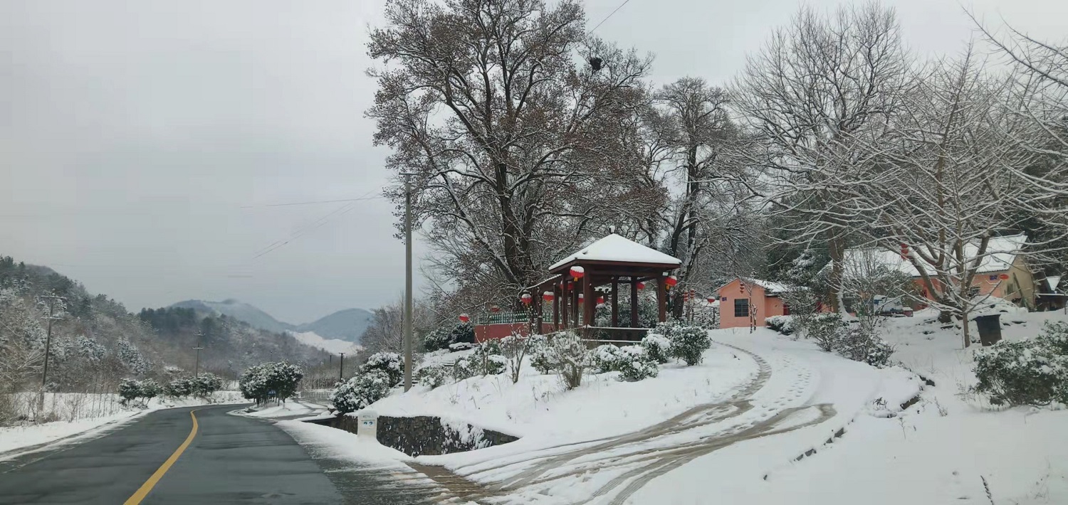 楊集鎮(zhèn)三口堰村對(duì)節(jié)王雪景，攝影：胡勇1