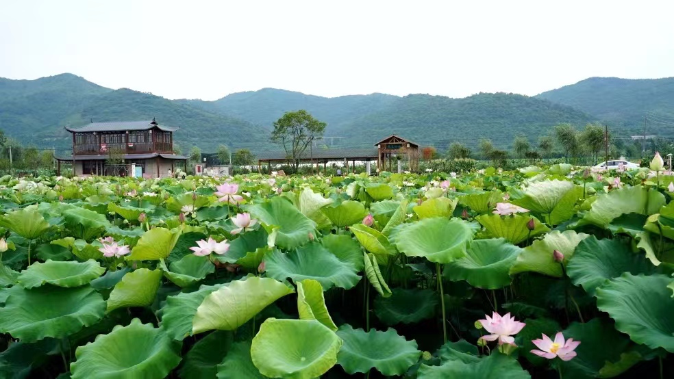 部門(mén)1